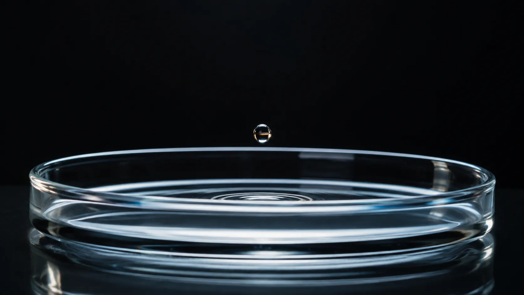 A single droplet falling towards a glass petri dish under a hard studio light